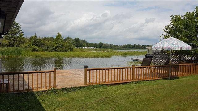 31 Driftwood Shores Rd, House detached with 3 bedrooms, 1 bathrooms and 3 parking in Kawartha Lakes ON | Image 4