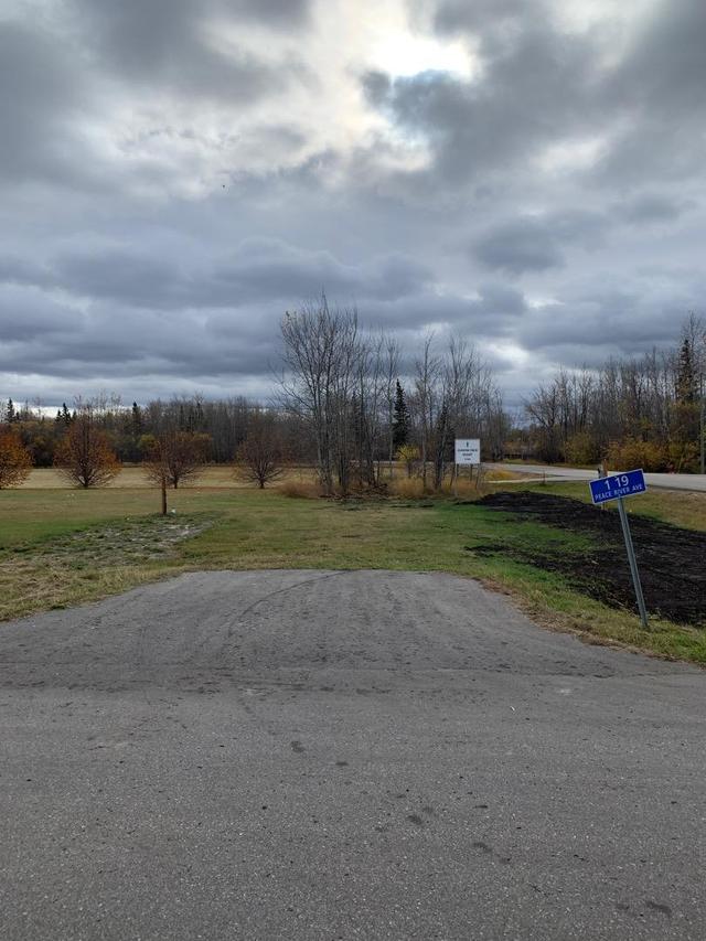 lot 1 19 Peace River Avenue, Home with 0 bedrooms, 0 bathrooms and null parking in Big Lakes County AB | Image 9