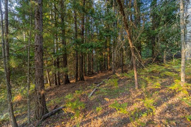 lot 9 Selkirk Road, Home with 0 bedrooms, 0 bathrooms and null parking in Central Kootenay A BC | Image 5