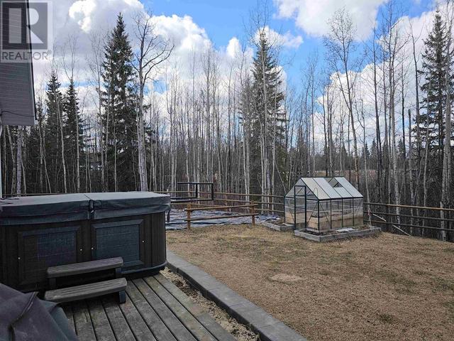 1417 Stark Drive, House detached with 5 bedrooms, 4 bathrooms and null parking in Vanderhoof BC | Image 10