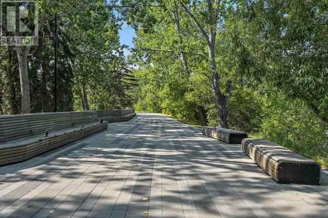Bow river pathway | Image 49