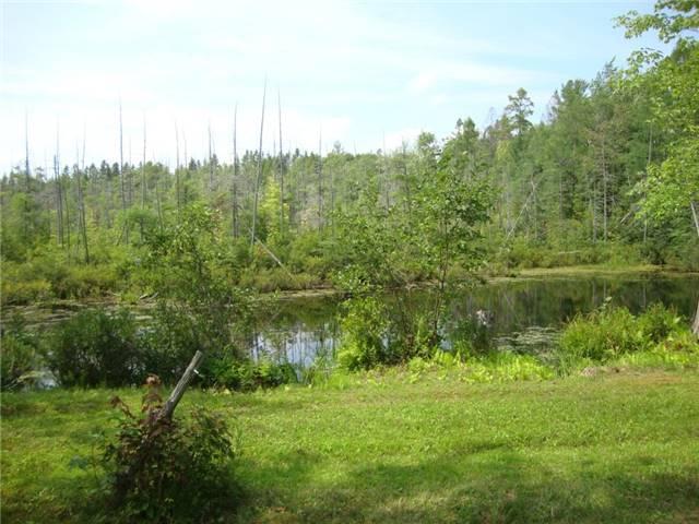 0 Fells Bay Rd, Home with 0 bedrooms, null bathrooms and null parking in Kawartha Lakes ON | Image 5