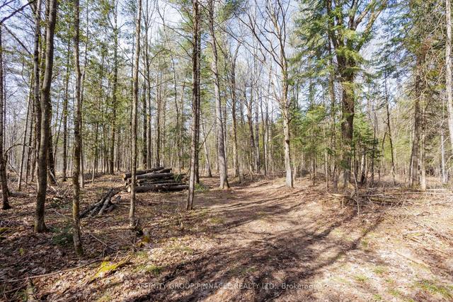 2371 County Rd 48 Rd, House detached with 2 bedrooms, 2 bathrooms and 12 parking in Kawartha Lakes ON | Image 31