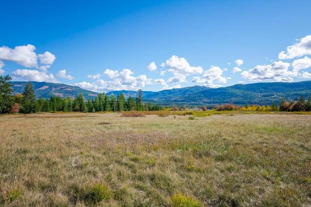 000 Cochrane Road, Home with 0 bedrooms, 0 bathrooms and null parking in North Okanagan E BC | Image 4