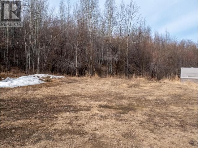 13169 Mckinnon Subdivision, House other with 3 bedrooms, 1 bathrooms and null parking in Peace River D BC | Image 45