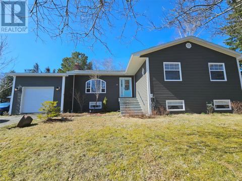 49 Birchview Drive, House detached with 2 bedrooms, 1 bathrooms and null parking in Pasadena NL | Card Image