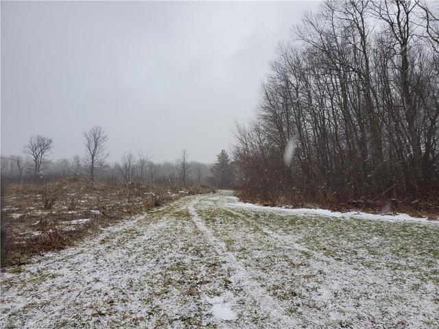Trail surrounding the workable acres | Image 41