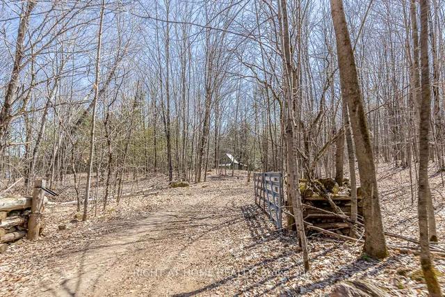 164 Sugar Bush Rd, House detached with 1 bedrooms, 0 bathrooms and 0 parking in Kawartha Lakes ON | Image 12