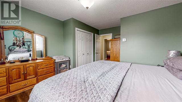 113 Michener Avenue, House detached with 3 bedrooms, 1 bathrooms and null parking in Mount Pearl NL | Image 17