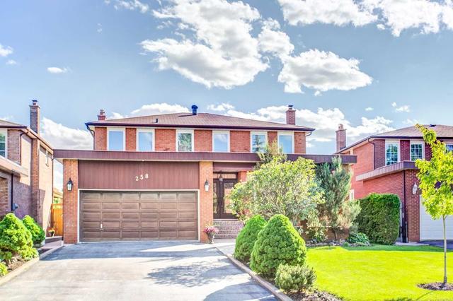 258 Gracefield Ave, House detached with 4 bedrooms, 4 bathrooms and 4 parking in Toronto ON | Image 2