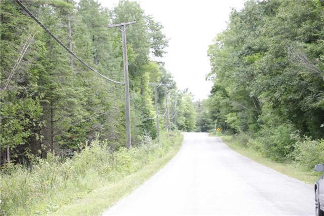 00A Bass Lake Rd, Home with 0 bedrooms, null bathrooms and null parking in Trent Lakes ON | Image 2