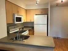 1002 - 76 Shuter St, Condo with 1 bedrooms, 1 bathrooms and null parking in Toronto ON | Image 4