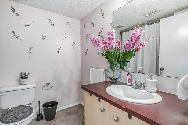 24 Erin Woods Court Se, Home with 3 bedrooms, 2 bathrooms and 1 parking in Calgary AB | Image 38