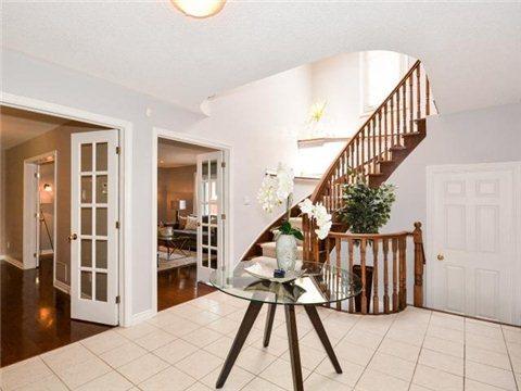 163 Olive Ave, House detached with 4 bedrooms, 5 bathrooms and 6 parking in Toronto ON | Image 10
