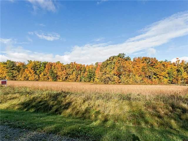 lot 5 - 2605 Harvestmoon Lane, Home with 0 bedrooms, 0 bathrooms and null parking in Burlington ON | Image 8