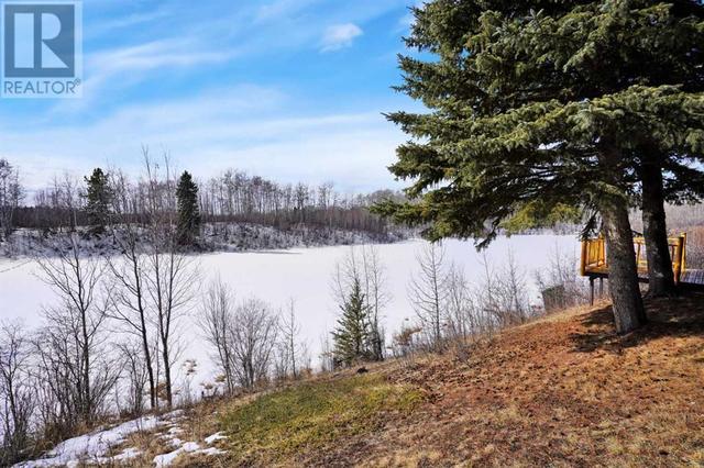 54051 Township Road 351a, House detached with 1 bedrooms, 1 bathrooms and 12 parking in Clearwater County AB | Image 38