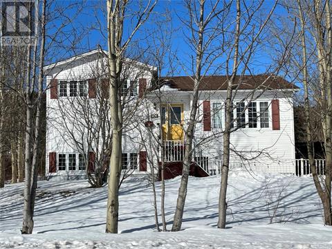 50 Valley Road, House detached with 4 bedrooms, 1 bathrooms and null parking in Carbonear NL | Card Image