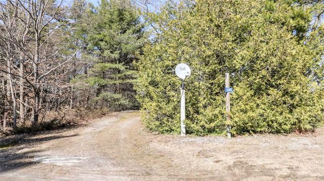 1288 Brydons Bay Rd, House detached with 4 bedrooms, 1 bathrooms and 6 parking in Gravenhurst ON | Image 16