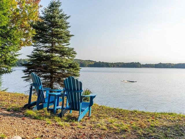 7 - 1363 Juddhaven Rd, House detached with 7 bedrooms, 5 bathrooms and 12 parking in Muskoka Lakes ON | Image 2