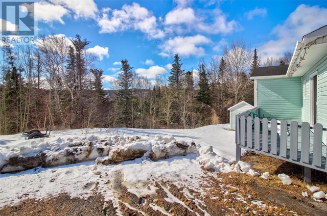 16 Cowan Place, House detached with 2 bedrooms, 1 bathrooms and null parking in Clarenville NL | Image 21
