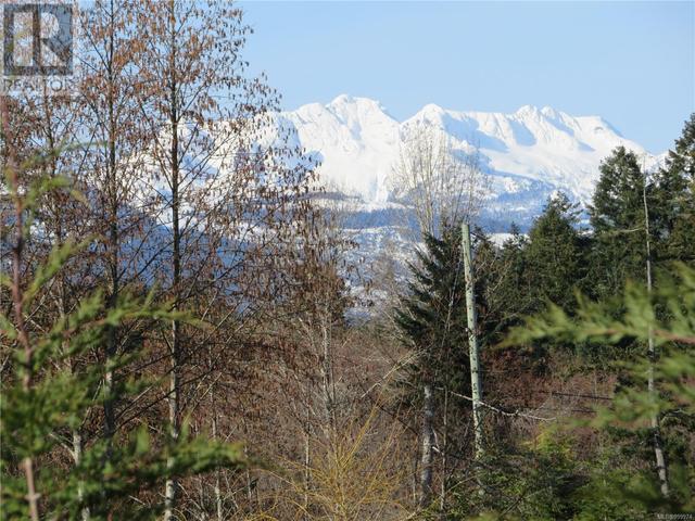 Mt Arrowsmith as seen from the property | Image 89
