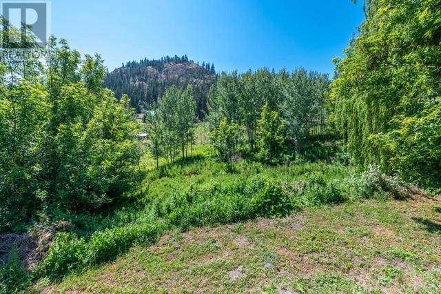18740 Old Richter Pass Road, House detached with 4 bedrooms, 3 bathrooms and 2 parking in Okanagan Similkameen A BC | Image 39