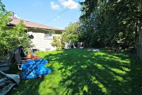 104 Willow Lane, House semidetached with 3 bedrooms, 1 bathrooms and 5 parking in Newmarket ON | Image 14