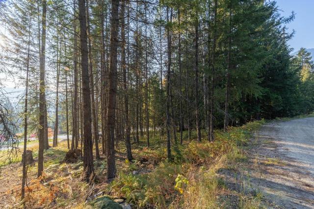 lot 9 Selkirk Road, Home with 0 bedrooms, 0 bathrooms and null parking in Central Kootenay A BC | Image 16