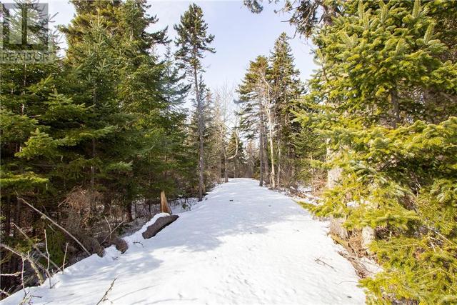 lot 965 Cape Dr, Home with 0 bedrooms, 0 bathrooms and null parking in Botsford NB | Image 10