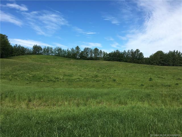 lot 9 - 13033 Township Road 424, Home with 0 bedrooms, 0 bathrooms and null parking in Wetaskiwin County No. 10 AB | Image 3