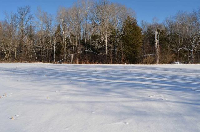 0 Bush Rd, Home with 0 bedrooms, null bathrooms and null parking in Kawartha Lakes ON | Image 1