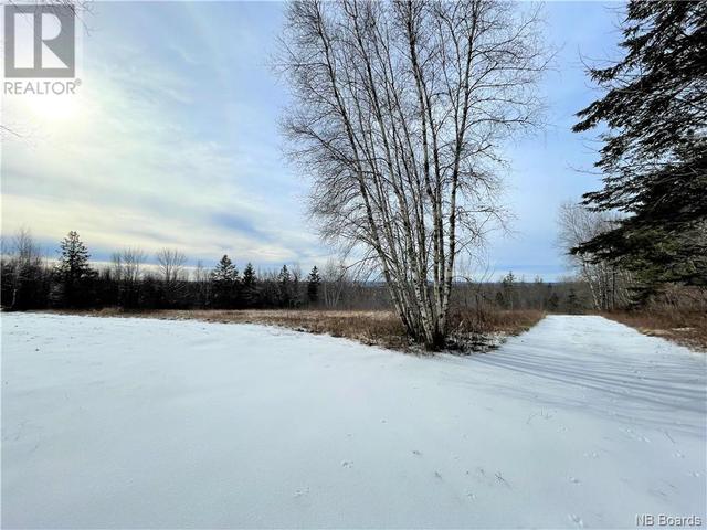 000 St. David Ridge Road, Home with 0 bedrooms, 0 bathrooms and null parking in Saint David NB | Image 10