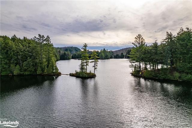 3117 Limberlost Road, House detached with 3 bedrooms, 1 bathrooms and 10 parking in Lake of Bays ON | Image 47