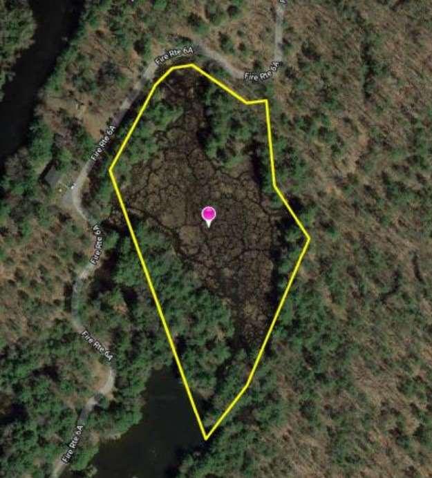 0 Fire Route 6a Rd E, Home with 0 bedrooms, 0 bathrooms and null parking in Havelock Belmont Methuen ON | Image 9