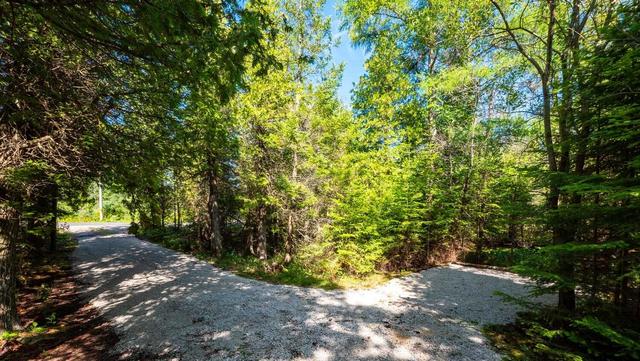 546 Warner Bay Rd, House detached with 3 bedrooms, 1 bathrooms and 5 parking in Northern Bruce Peninsula ON | Image 6