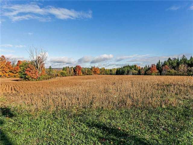 lot 5 - 2605 Harvestmoon Lane, Home with 0 bedrooms, 0 bathrooms and null parking in Burlington ON | Image 3