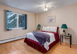 208 - 816 89 Avenue Sw, Condo with 2 bedrooms, 2 bathrooms and 1 parking in Calgary AB | Image 1