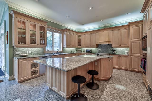 17 Paddock Crt, House detached with 5 bedrooms, 9 bathrooms and 10 parking in Toronto ON | Image 3