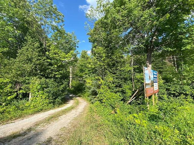 0 Highway 35 N, Home with 0 bedrooms, 0 bathrooms and null parking in Kawartha Lakes ON | Image 11