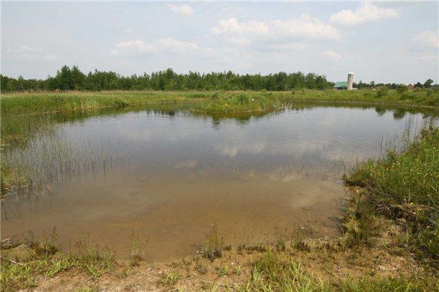 0 4th Line Sw Acre, Home with 0 bedrooms, 0 bathrooms and null parking in Melancthon ON | Image 3