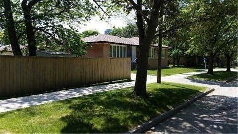 31 Lorene Dr, House detached with 3 bedrooms, 1 bathrooms and 5 parking in Toronto ON | Image 11