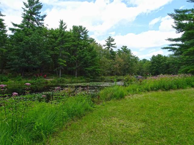52 Laxton Township 4th Line, House detached with 2 bedrooms, 1 bathrooms and 9 parking in Kawartha Lakes ON | Image 31