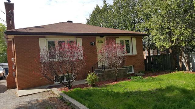 43 Maple Grove Ave, House detached with 2 bedrooms, 2 bathrooms and 8 parking in Richmond Hill ON | Image 5
