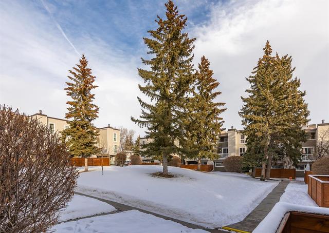 802 - 13104 Elbow Drive Sw, Home with 2 bedrooms, 1 bathrooms and 1 parking in Calgary AB | Image 24
