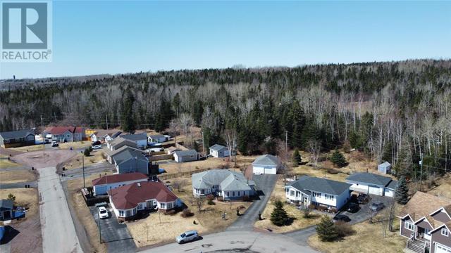 12 Mcdonald Crescent, House detached with 3 bedrooms, 2 bathrooms and null parking in Bishop's Falls NL | Image 43