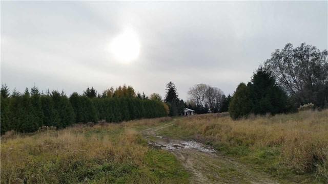 lt #12 - lot 17 4th Line, Home with 0 bedrooms, 0 bathrooms and null parking in Melancthon ON | Image 6