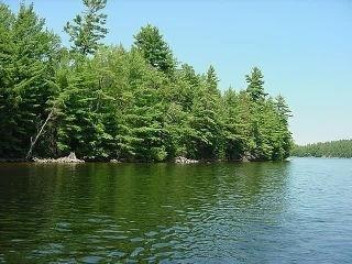 0 Blade Island, Home with 0 bedrooms, null bathrooms and null parking in Trent Lakes ON | Image 1