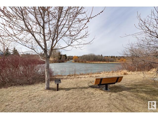 207 - 111 Festival Wy, Condo with 2 bedrooms, 1 bathrooms and null parking in Edmonton AB | Image 30