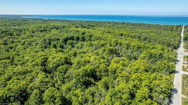 lot 9 D Line, Home with 0 bedrooms, 0 bathrooms and null parking in South Bruce Peninsula ON | Image 22