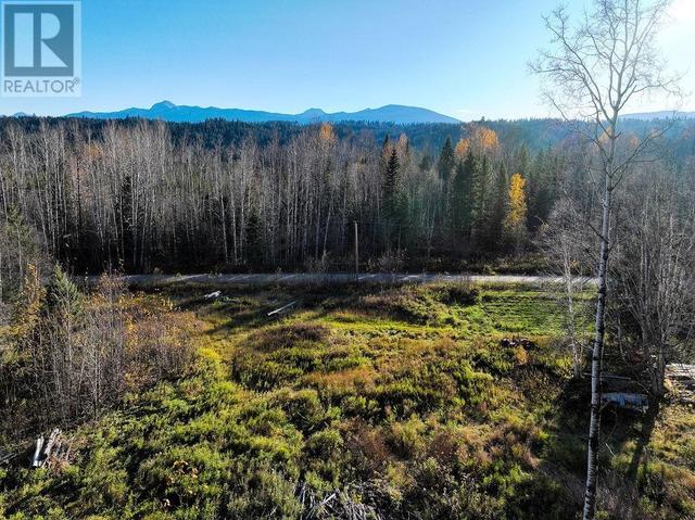 12580 Dome Creek Road, House detached with 1 bedrooms, 0 bathrooms and null parking in Fraser Fort George H BC | Image 23